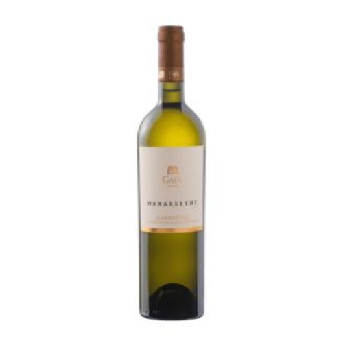 Λευκό Κρασί Ξηρό Θαλασσίτης – Gaia Wines