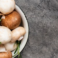 Μανιταροπροϊόντα